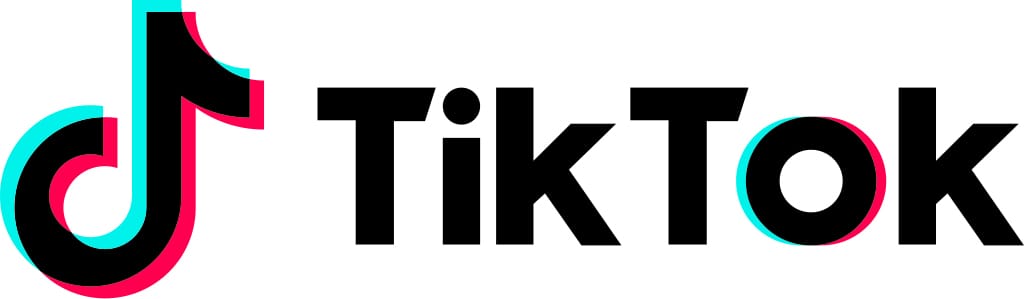 The TikTok logo