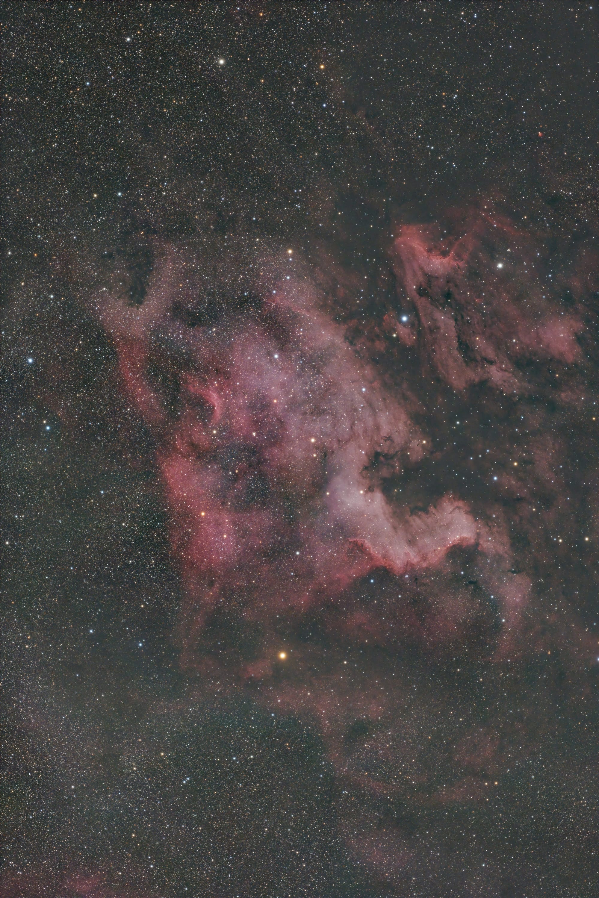 Two nebulae, one resembling a map of North America, the other a pelican