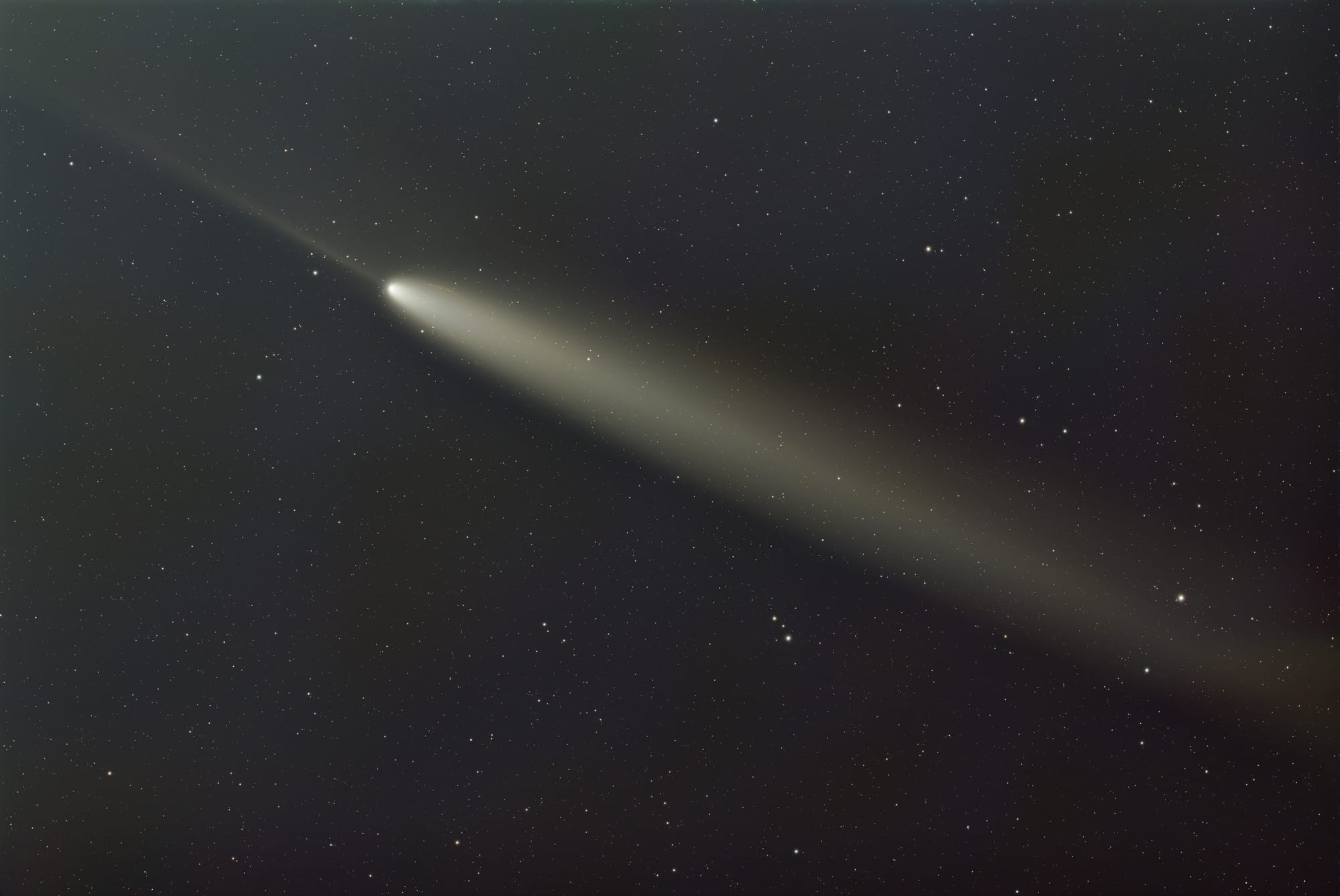 A comet with long, bright tail and a narrower antitail extending in the opposite direction