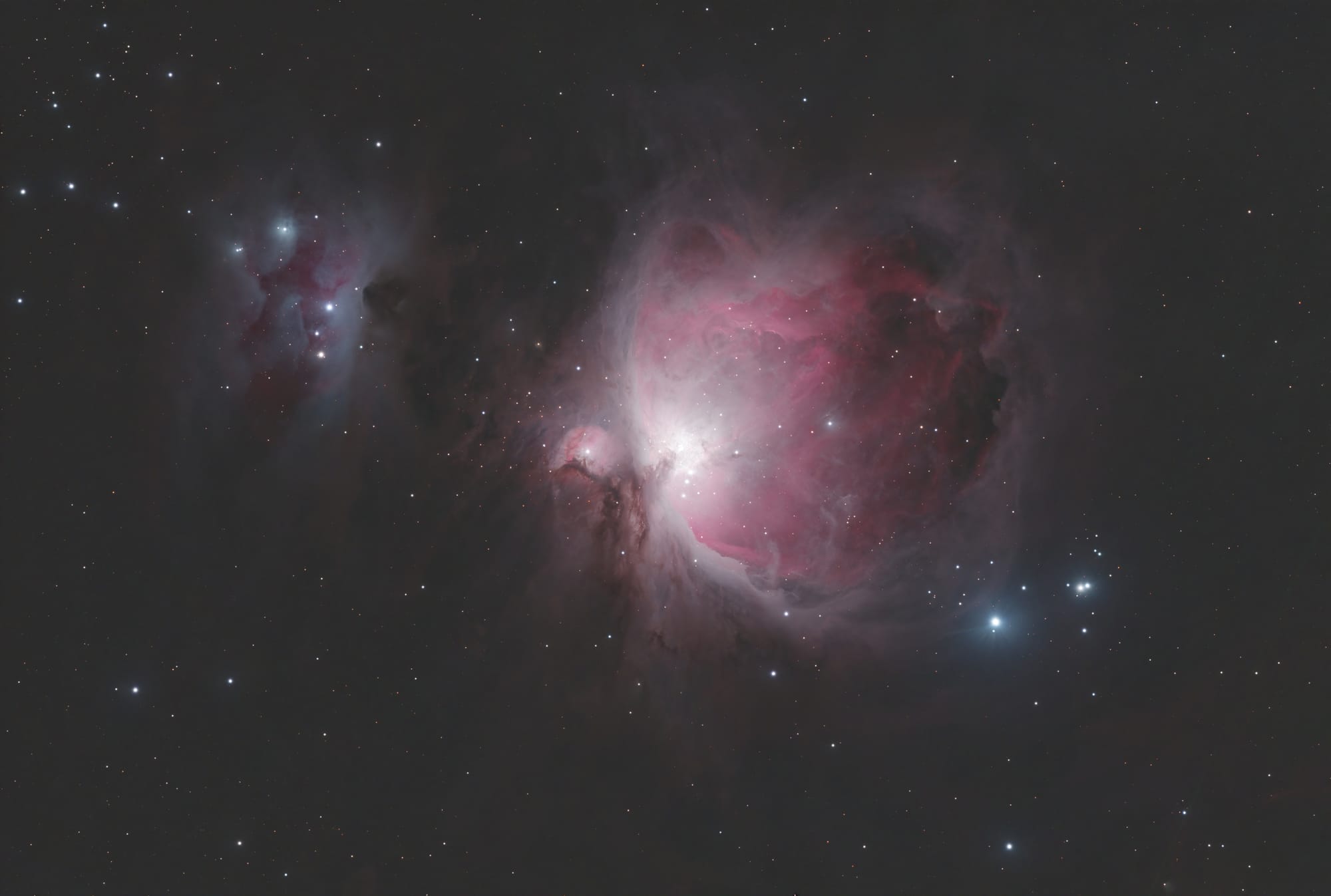 A bright, pink, crab-shaped nebula