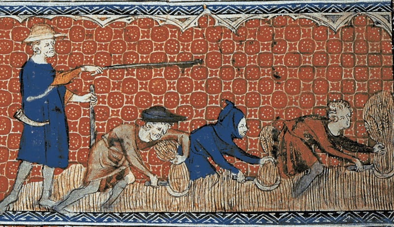 Drawing of 3 men with sickles bending over and harvesting wheat being supervised by a standing man holding two staffs 