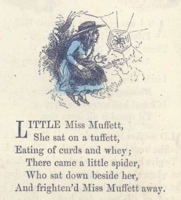 Clip from a mid 19th-century book with the text of “Little Miss Muffet” and a drawing of a sitting girl looking at a spider