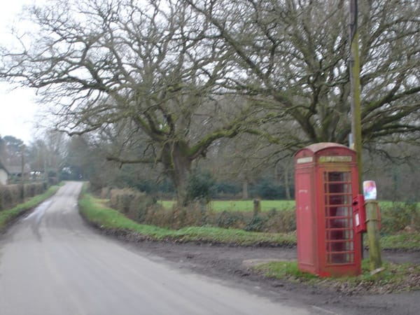 Photo of a red, British phone box alongside a wooded, country road