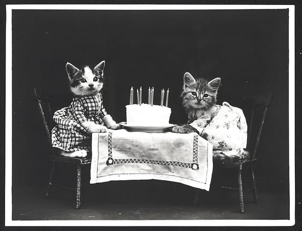 B&W photo of two kittens in dresses sitting at a table with a birthday cake